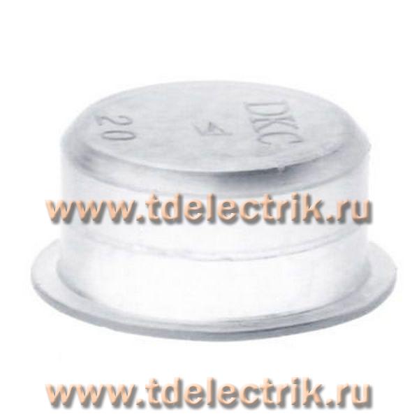 Фотография №1, Заглушка для труб D=20 мм, IP40 (упак. 200 шт)