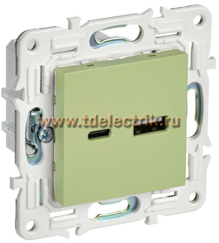 Фотография №1, SKANDY Розетка USB A+C 18Вт SK-R13M мятн. IEK
