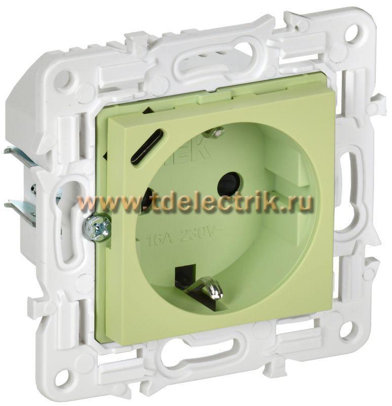 Фотография №1, SKANDY Розетка с з/к/ш 16А с USB C 18Вт SK-R17M мятн. IEK