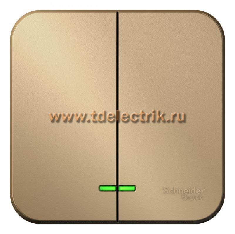 Фотография №1, BLANCA О/У 2-клавишный выключатель (cх.5), 10А, 250B, титан