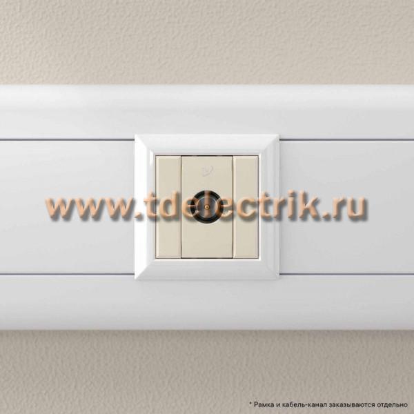 Фотография №1, Ванильная дымка