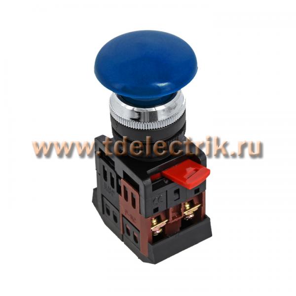 Фотография №1, Кнопки Грибок EKF