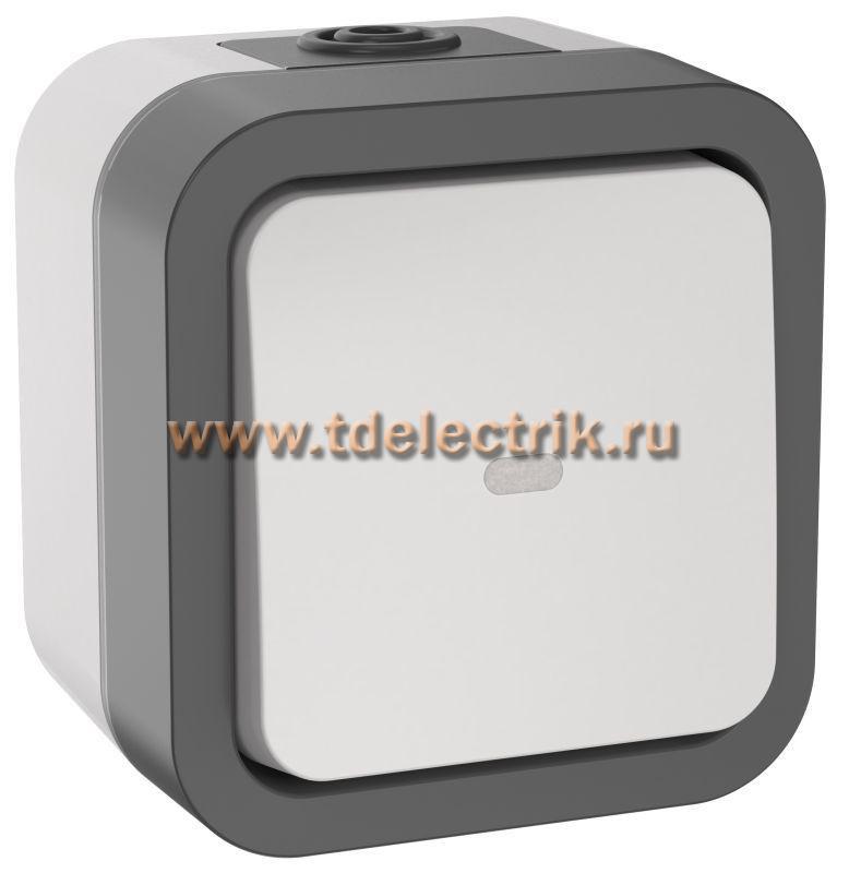 Фотография №1, TORS Переключатель однокл. с ин. 10А IP55 TS202 сер-бел IEK