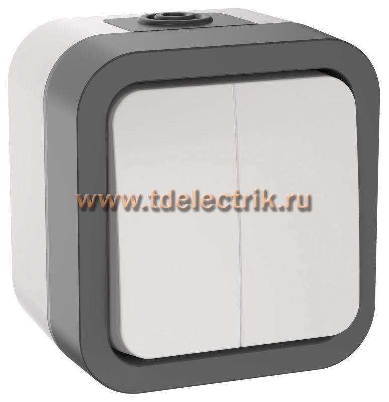 Фотография №1, TORS Выключатель двухклавишный 10А IP55 TS205 сер-бел IEK