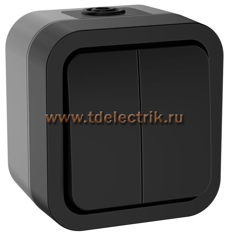 Фотография №1, TORS Выключатель двухклавишный 10А IP55 TS105 графит IEK
