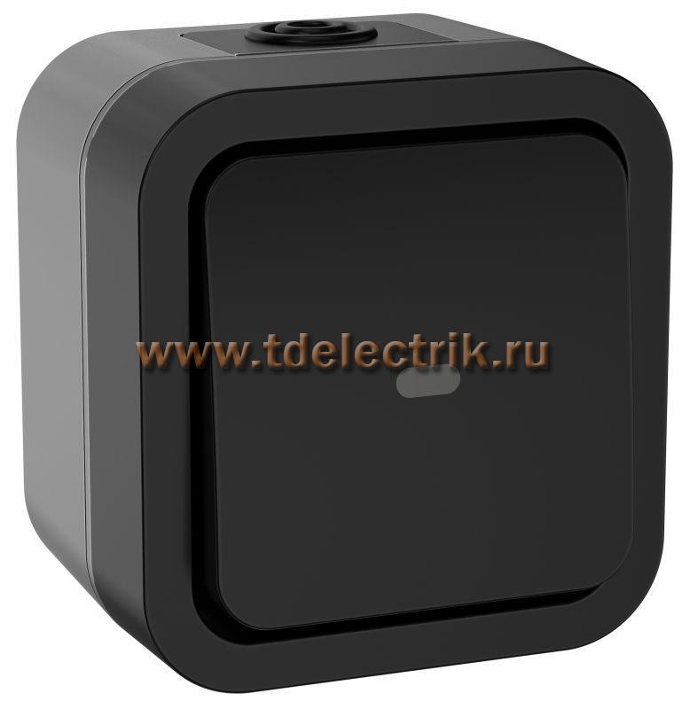 Фотография №1, TORS Переключатель однокл. с ин. 10А IP55 TS102 графит IEK