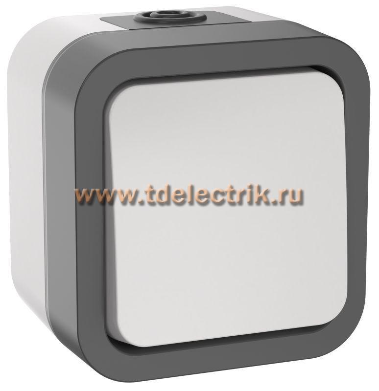 Фотография №1, TORS Выключатель кнопочный 10А IP55 TS210 сер-бел IEK