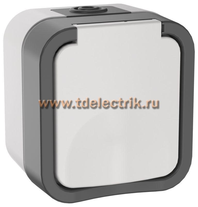 Фотография №1, TORS Розетка 1-я с з/к кр. 16А IP55 TS220 сер-бел IEK