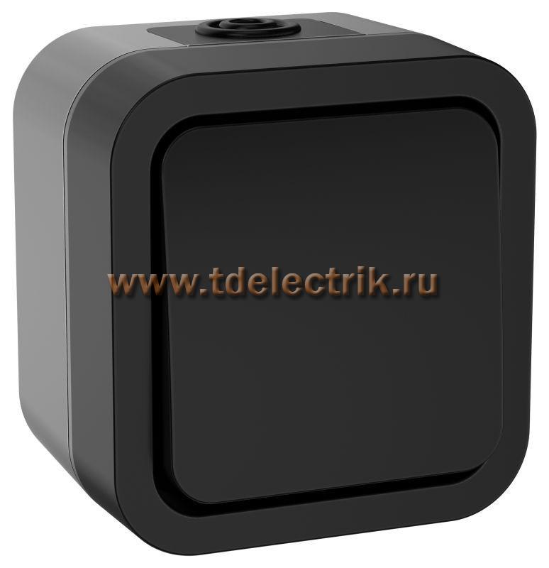 Фотография №1, TORS Переключатель однокл. 10А IP55 TS101 графит IEK