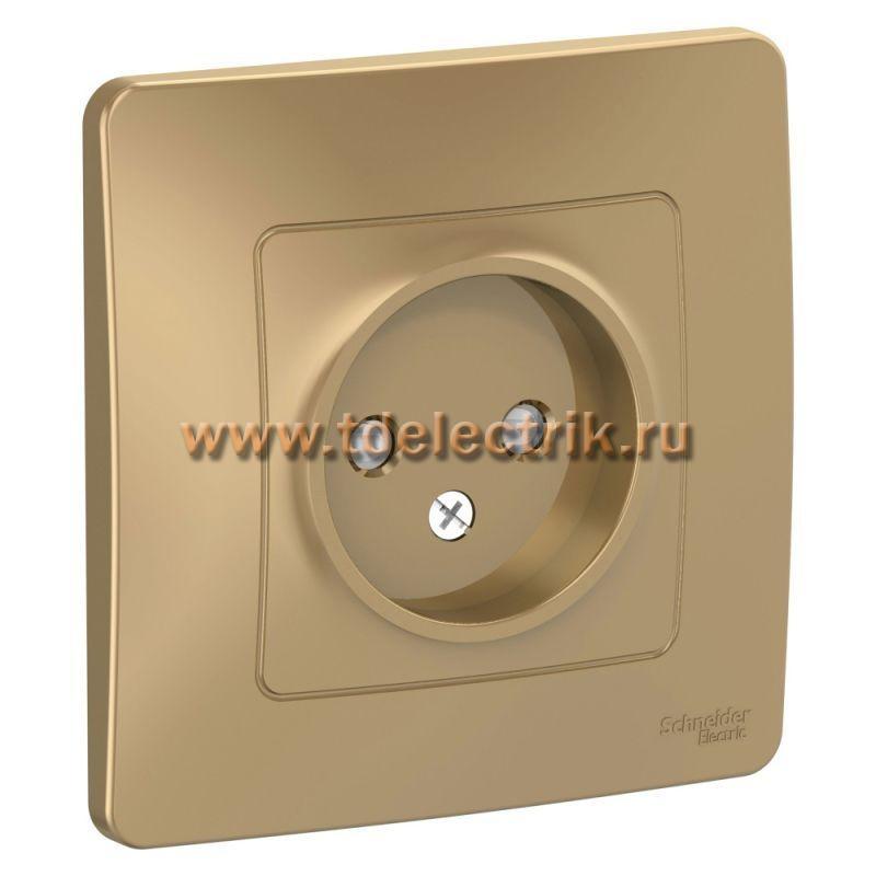 Фотография №1, BLANCA С/У Розетка без заземления со шторками, 16А, 250В, титан