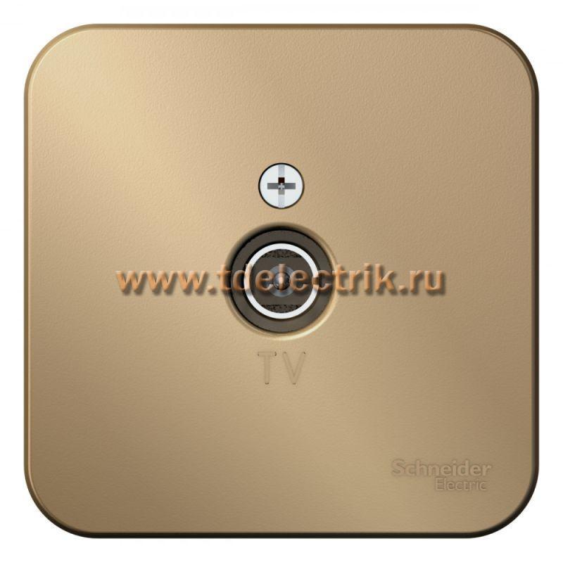 Фотография №1, BLANCA О/У КОННЕКТОР ТВ изол.пл.,16А, 250В, титан