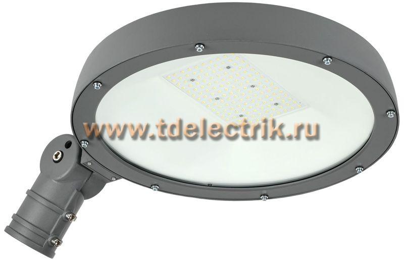 Фотография №1, Светильник LED консольный ДКУ Парк 2001-100Д 5000К IP65 IEK