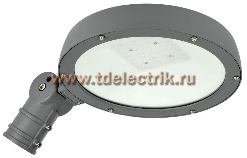 Фотография №1, Светильник LED консольный ДКУ Парк 2001-40Д 5000К IP65 IEK