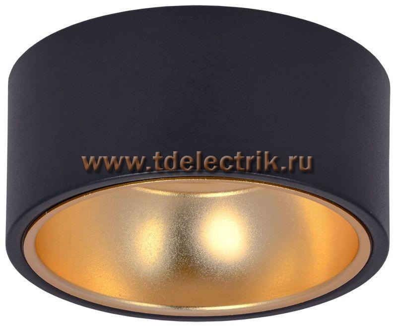 Фотография №1, Светильник 4017 накл. потолочн. GX53 черный/золото IEK