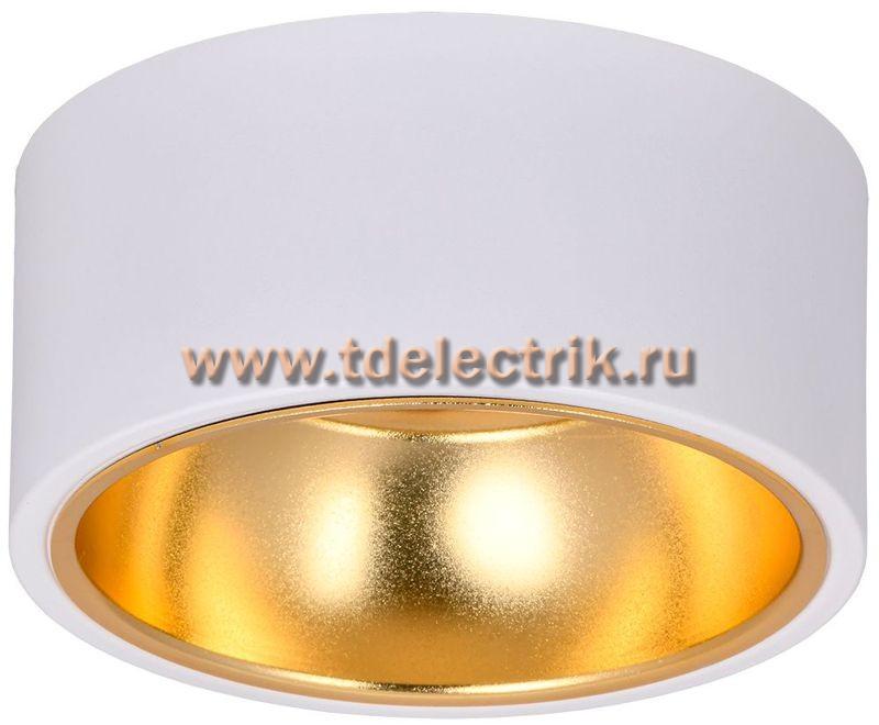Фотография №1, Светильник 4017 накл. потолочн. GX53 белый/золото IEK
