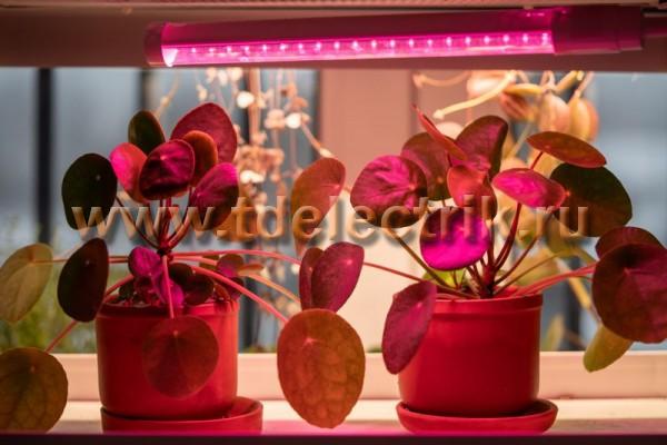 Фотография №1, Коммунальное и бытовое освещение