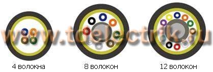 Фотография №1, 50/125 (OM2)