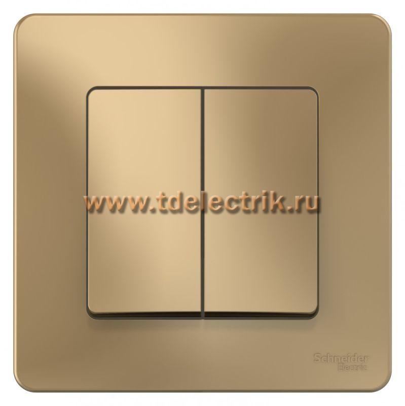 Фотография №1, BLANCA С/У 2-клавишный ПЕРЕКЛЮЧАТЕЛЬ (cх.6+6), 10А, 250B, титан