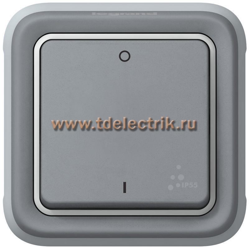 Фотография №1, Выключатель Plexo двухполюсный (серый)