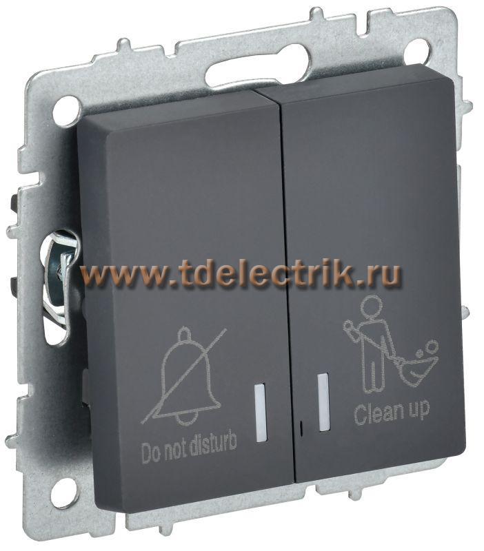 Фотография №1, BRITE Выключатель 2-кл. с инд. отел. 10А ВС10-2-9-БрГ граф. IEK