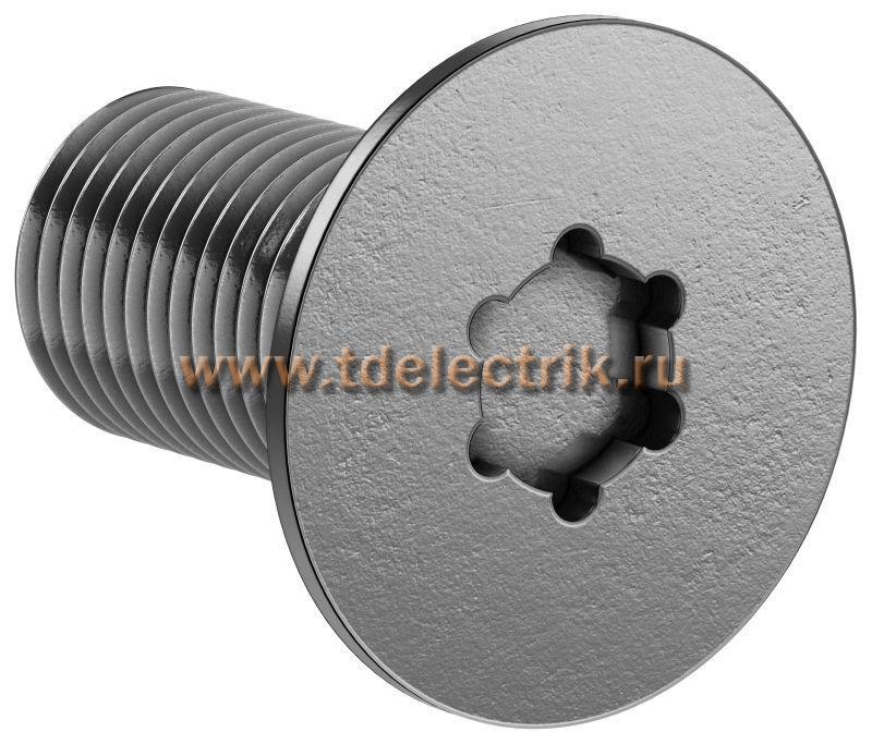 Фотография №1, Винт М6х12 TORX30 DIN7500M (20шт/упак) IEK