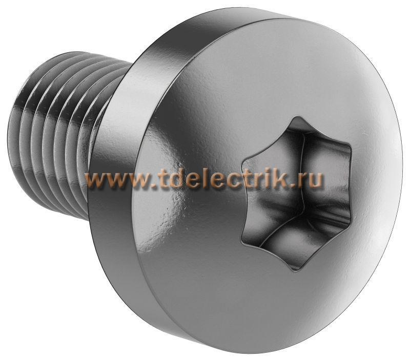 Фотография №1, Винт М6х10 TORX30 DIN7500C (50шт/упак) IEK