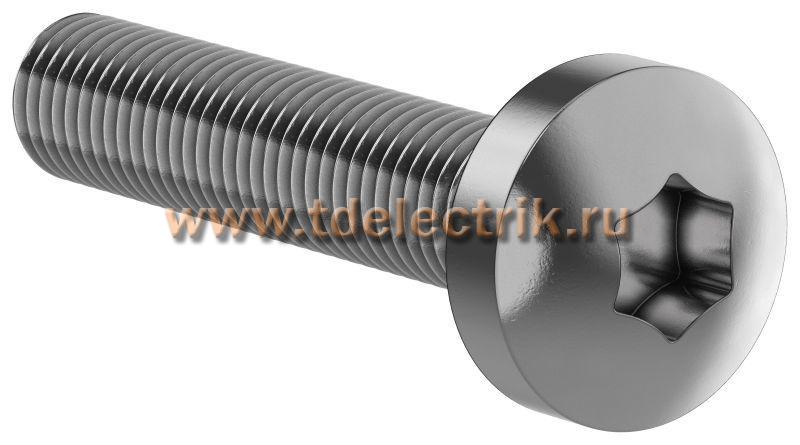 Фотография №1, Винт М6х30 TORX30 DIN7500C (20шт/упак) IEK