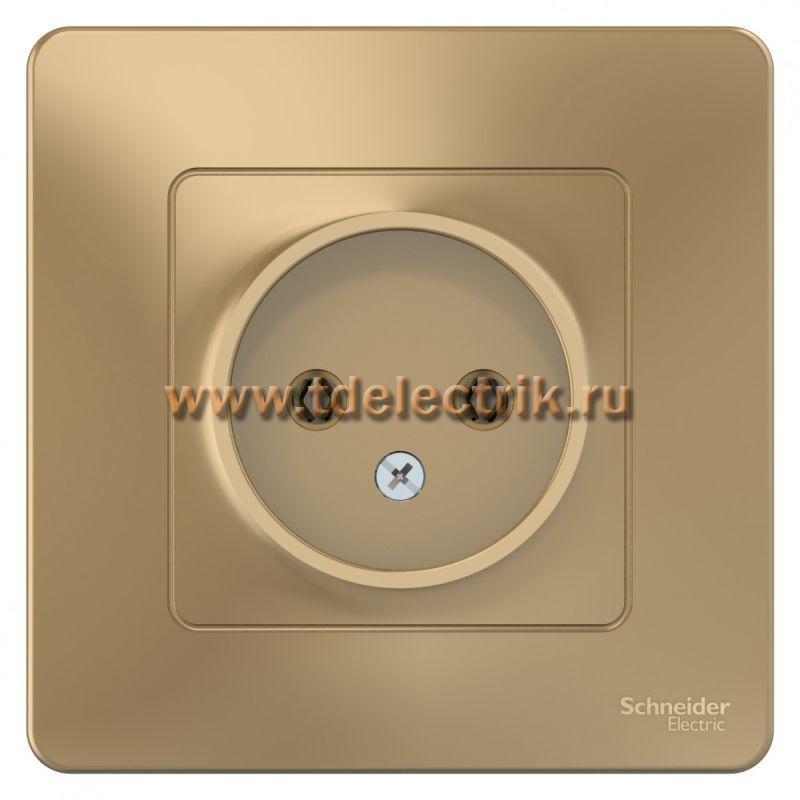 Фотография №1, BLANCA С/У Розетка без заземления без шторок 16А, 250В, титан