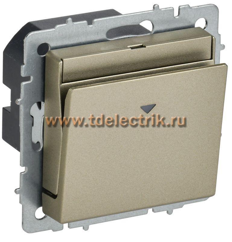 Фотография №1, BRITE Выключатель карточный 30А ВС10-1-8-БрШ шамп. IEK